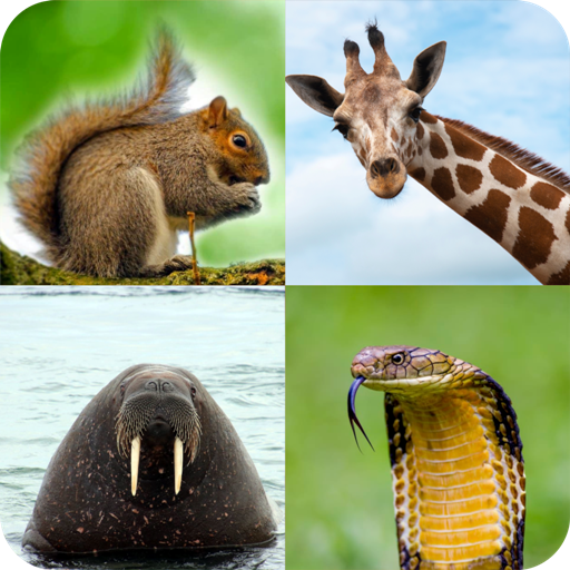 Animal Quiz Guess the Animal MOD Unlimited Money 1.1.39 Animal Quiz Guess the Animal MOD Unlimited Money 1.1.39